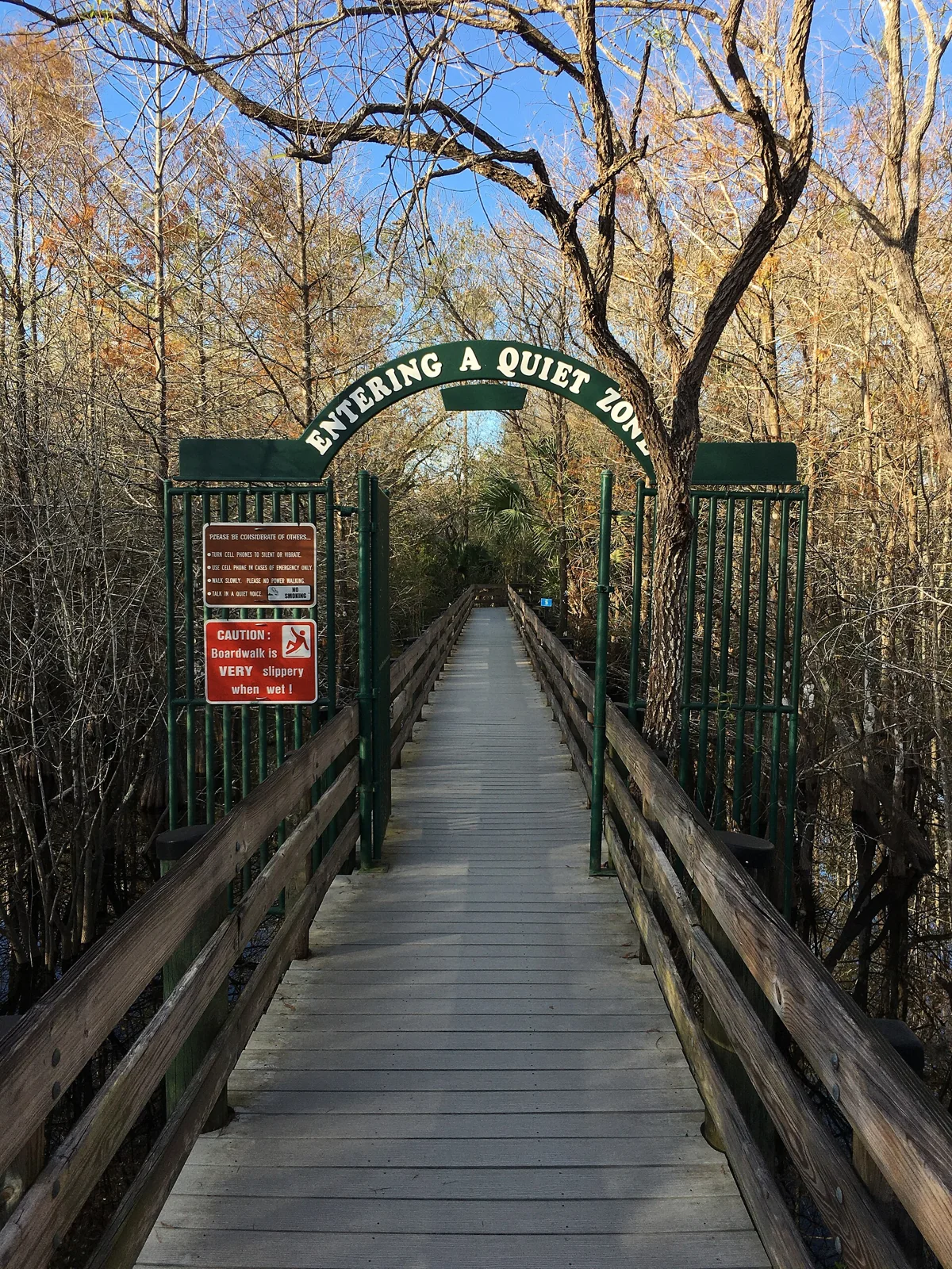 A timber boardwalk entering Six Mile Cypress Slough Preserve