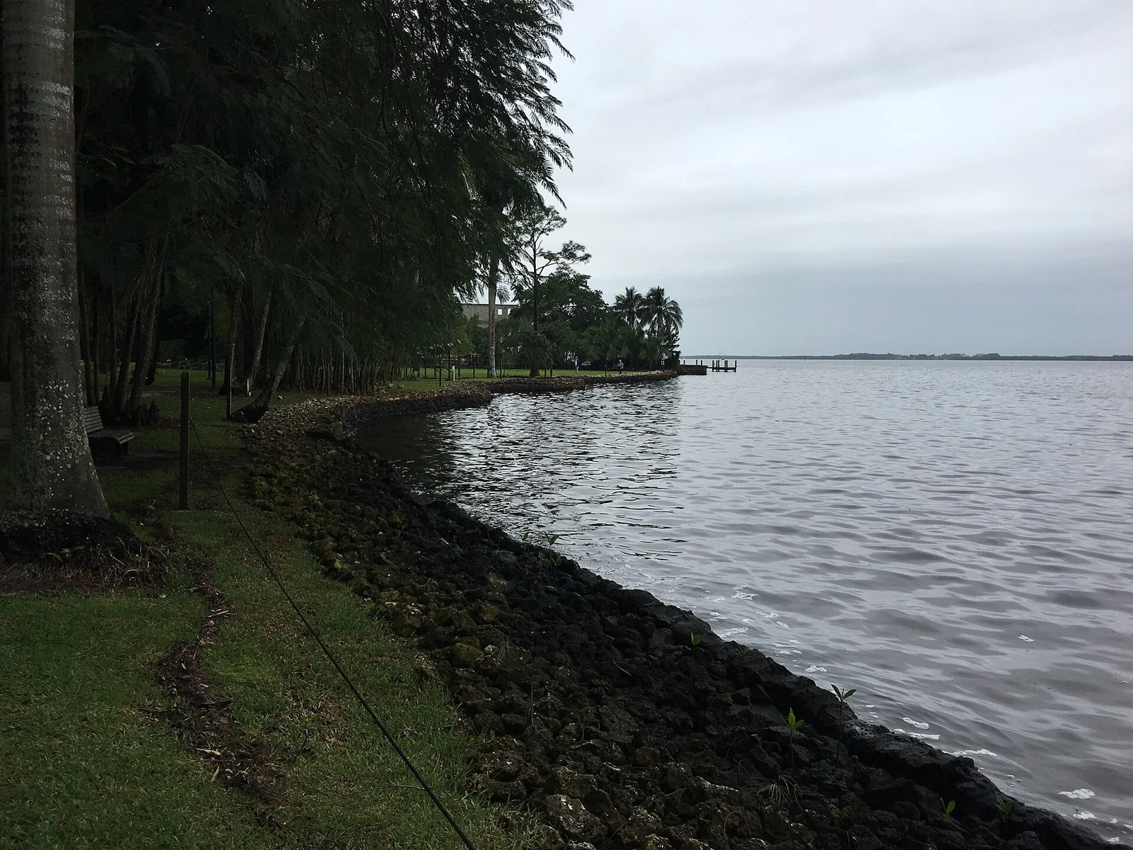 The Caloosahatchee riverbank at the Edison estate in Fort Myers
